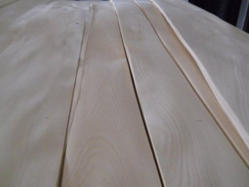 Golden Birch Veneer