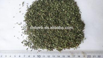 Dried Mint Leaf tea bag cut/green color mint tea