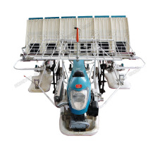 Oem Tray Hand Rice Seedling Transplanter 2ZS-6A