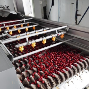 Turnkey Date Processing Line Production Plant for Juice, Syrup, and Jam