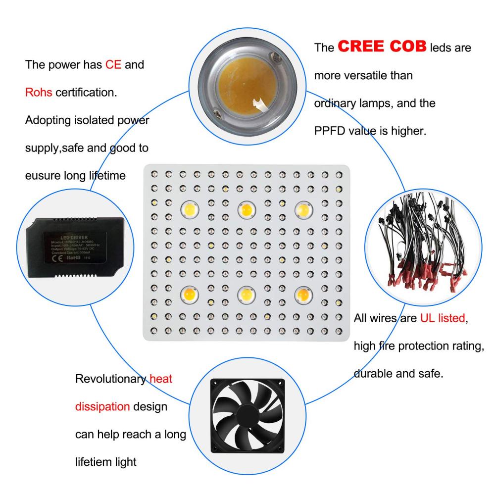 Phlizon 3000w Cob