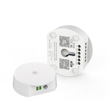 Smart Wi-Fi Bluetooth APP Controlled RGB RGBW SPI Wireless Remote Sound-effect Lighting Controller