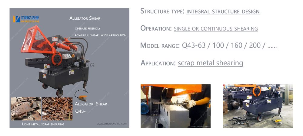 Alligator Shear Machine Ymsrecycling 2