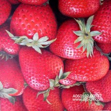 still life oil painting