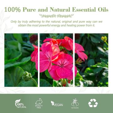 Aroma Scent Oil Organic Geranium Essential Oil For Diffuser