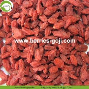 Factory Supply Fruit Nutrition Prijs Goji Berry