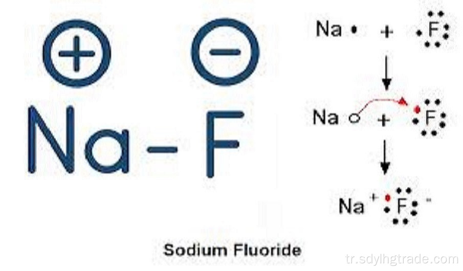 sodyum florür jel 1.1