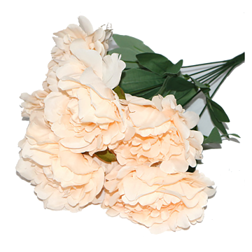 Linwoo Artificial Peony Silk Flowers Bulk - DYGH-040 Flower Combo