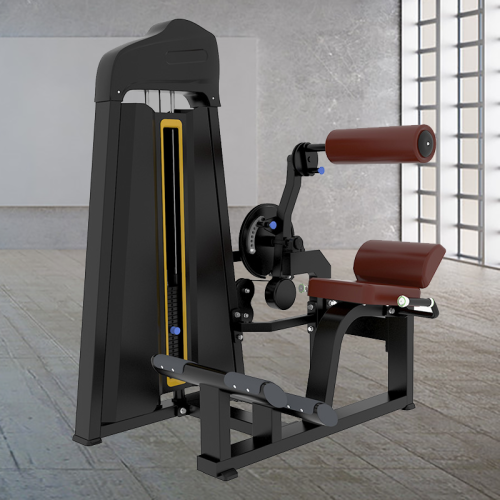 Attrezzatura di fitness funzionale Back / Addominal Machine