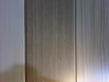 Lamianted PVC Panels