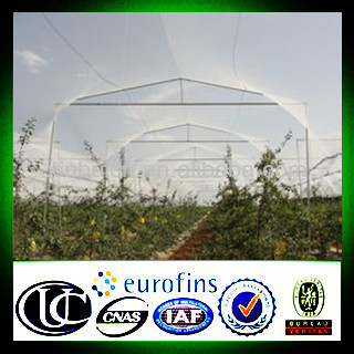 virgin hdpe orchard anti hail protection netting factory