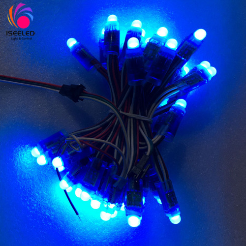 WS2811 Liburan Liburan 12mm RGB Pixel Light String