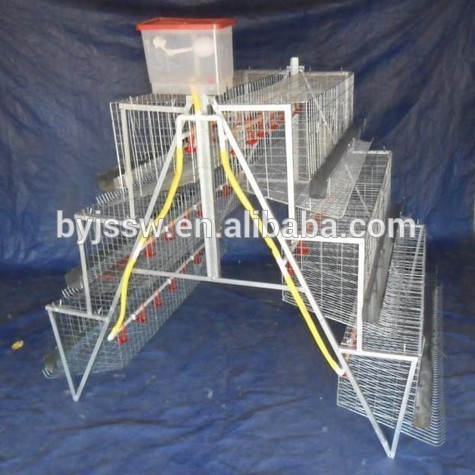 Battery Cages For Layers ( 96 Birds, 120 Birds, 160 Birds Capacity )