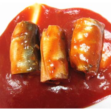 Canned Mackerel in Spicy Tomato Sauce