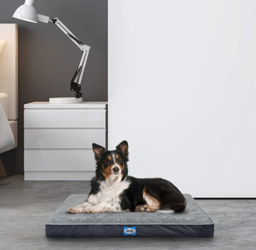 Ultra Soft Plush Dog Bed