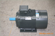 TYG series of high starting torque and high efficiency permanent magnet synchronous motor