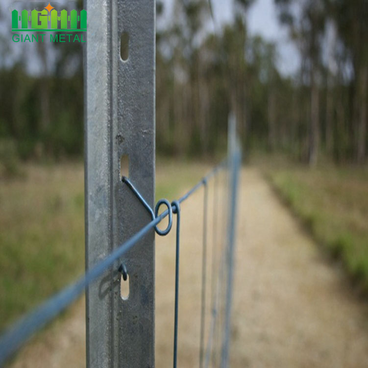 High Quality Australia Galvanized Steel Fence Y Post