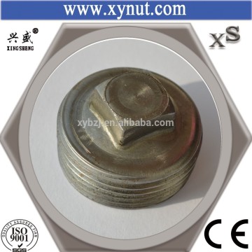 plumbing hardware plug