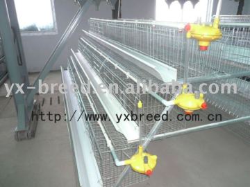 poultry equipment supply