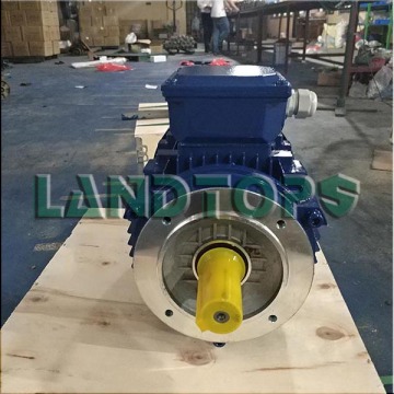 3 Phase AC Electric Motor 15 HP Sales