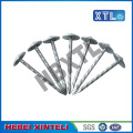 Electric Galvanized Smooth Shank Umbrella Roofing Nails