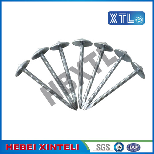 Galvanized Umbrella Roofing Nail With Large Head