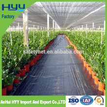 mulches film pp sheet uv plastic sheets greenhouse