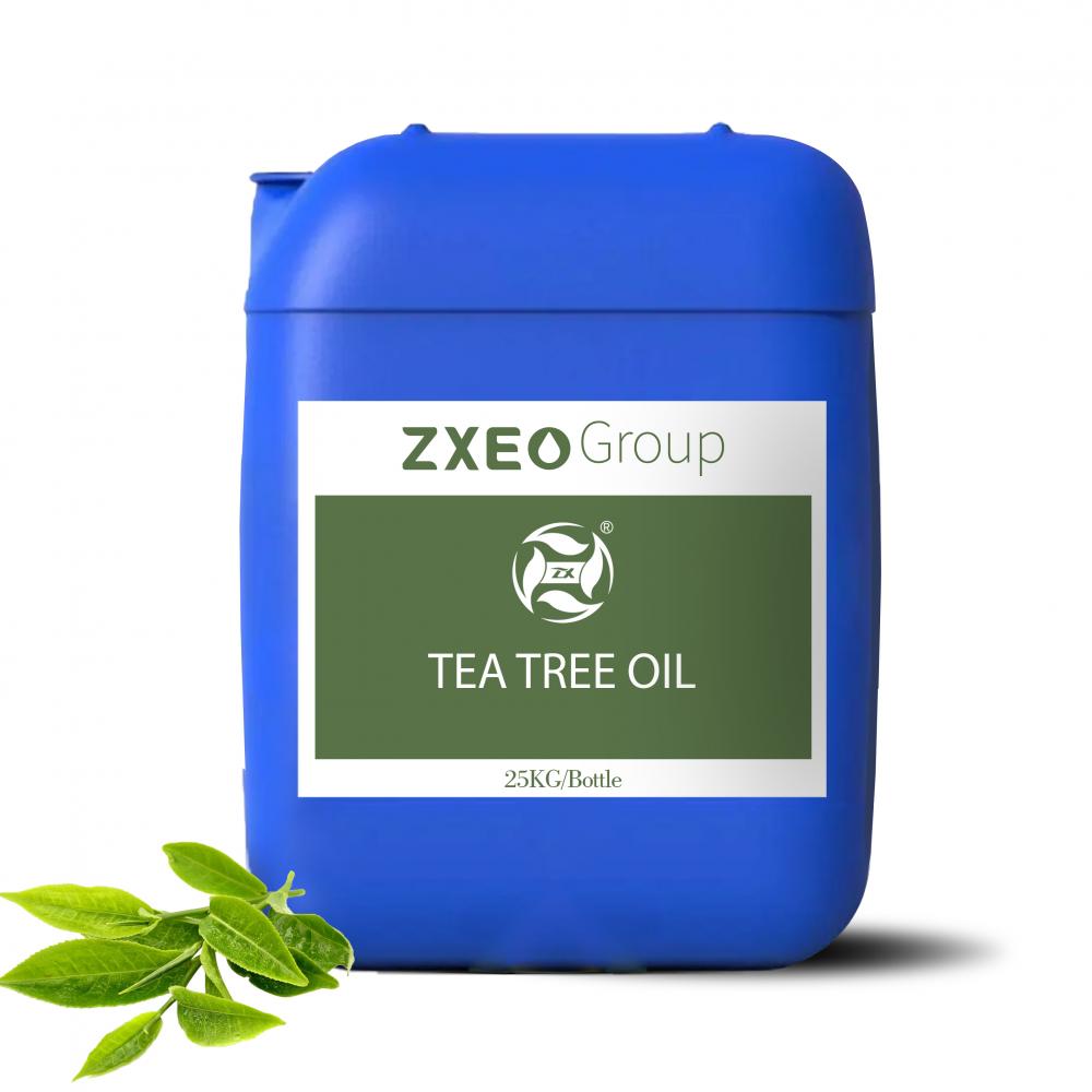 Productor de aceite esencial natural, Árbol de té australiano orgánico Aceite esencial 100% puro para el grado terapéutico de aromaterapia.