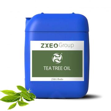 Productor de aceite esencial natural, Árbol de té australiano orgánico Aceite esencial 100% puro para el grado terapéutico de aromaterapia.