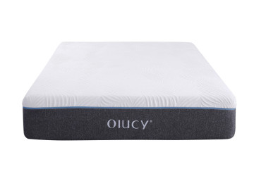 Bed in a Bag Queen Mattress