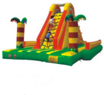 Beautiful Inflatable slides/ Inflatable castle