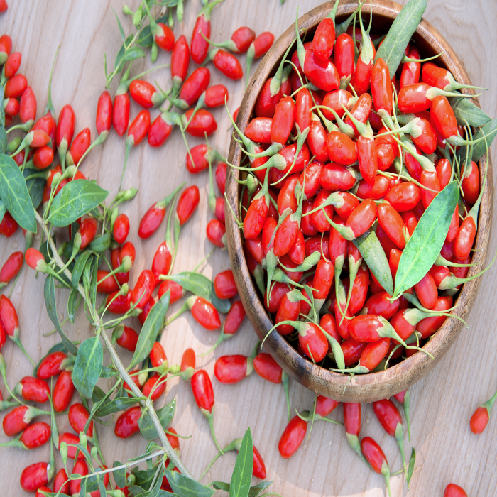 Santé nutritionnelle traditionnelle à base de plantes Goji Berry