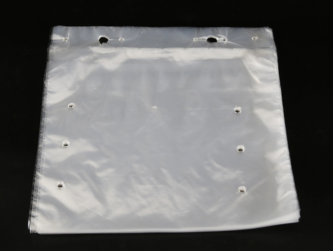 Clear LDPE Transparent Plastic Flat Plain Fresh Deli Bag for Bread Bakery Packaging