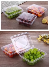 Plastic Clamshell Food Container Box