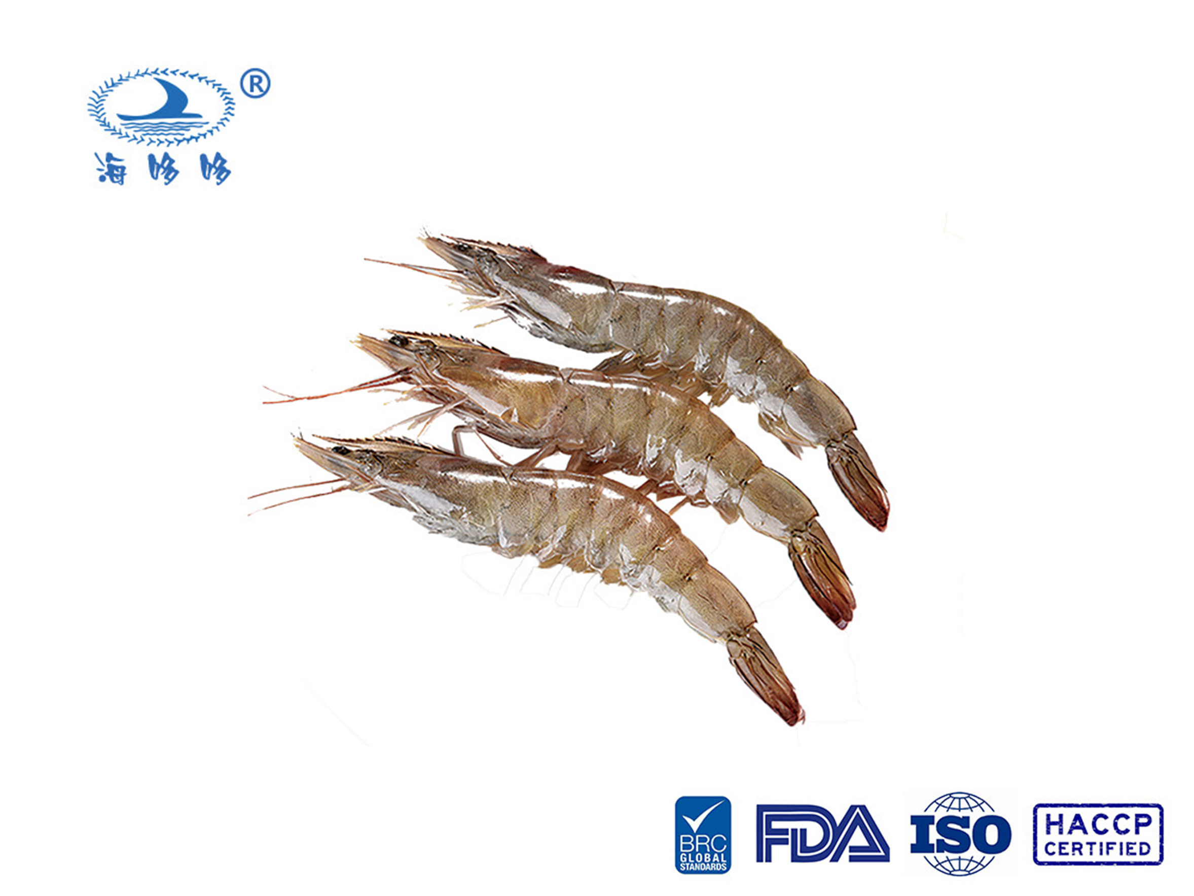 ກຸ້ງແຊ່ແຂງ frozen shrimp