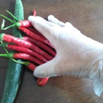 Guantes desechables de vinilo en polvo