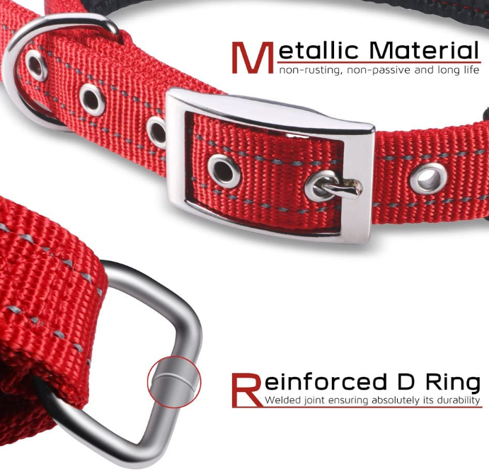 Buckle Dogs Collars