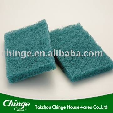 Scouring Cloth