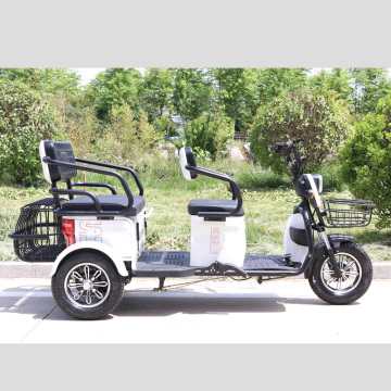 Kleines OEM elektrisches Freizeitdreirad/Trike