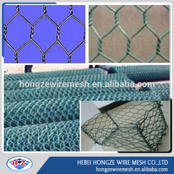 chicken coop Wire mesh & hexagonal Wire mesh