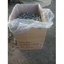 Galvanized Umbrella Roofing Nail for Construction