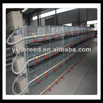 Hot Galvanized Automatic Design Chicken Cage for Broilers and Baby Chicks