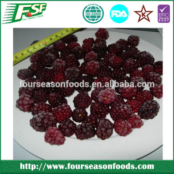 Frozen whole blackberry, china blackberry price