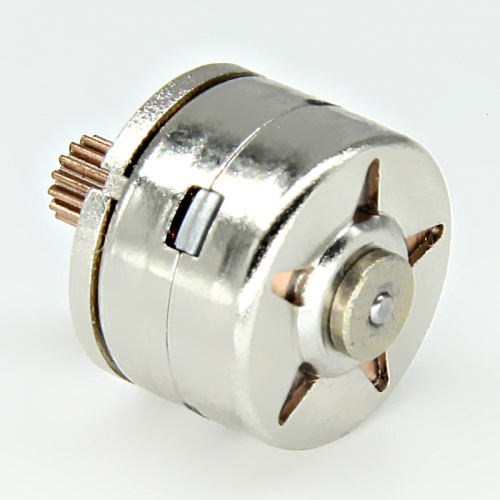 15BY25-389 Permanent Magnet Stepper Motor - MAINTEX