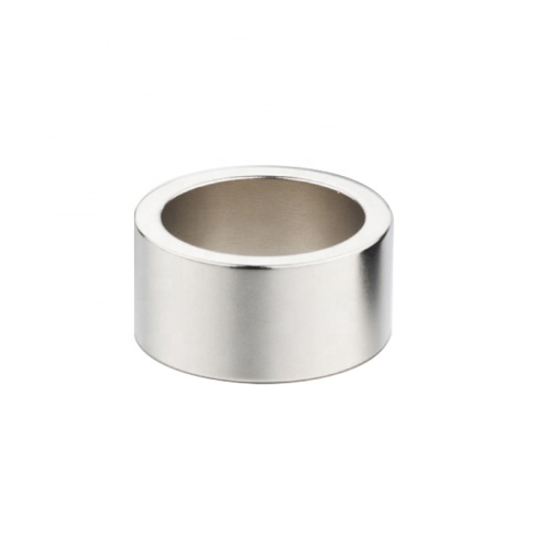 Ring shape Permanent Rare earth NdFeB magnet