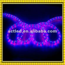 2 wire led rope light