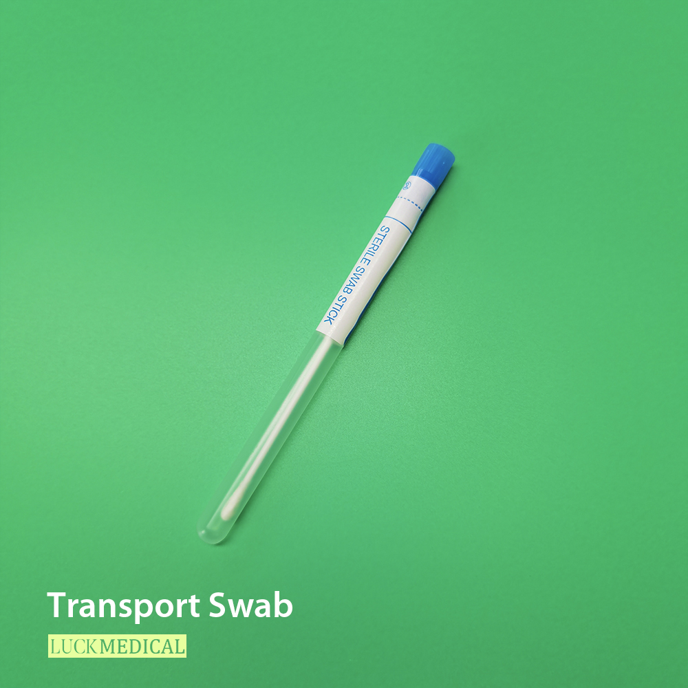 Amostra de swab de transporte no tubo com dica de rayon