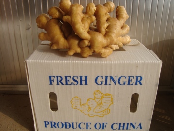 Fresh ginger/Air dry ginger