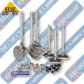 Motor Parçaları için Egzoz Valfı 6215-41-4220 PC650-8