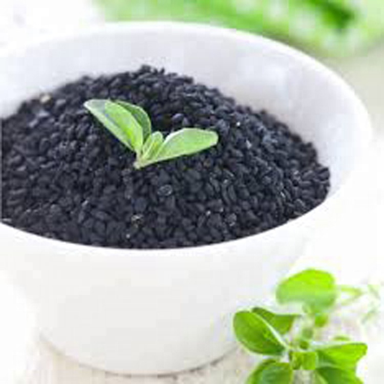 Wholesale black cumin seed oil at bulk price